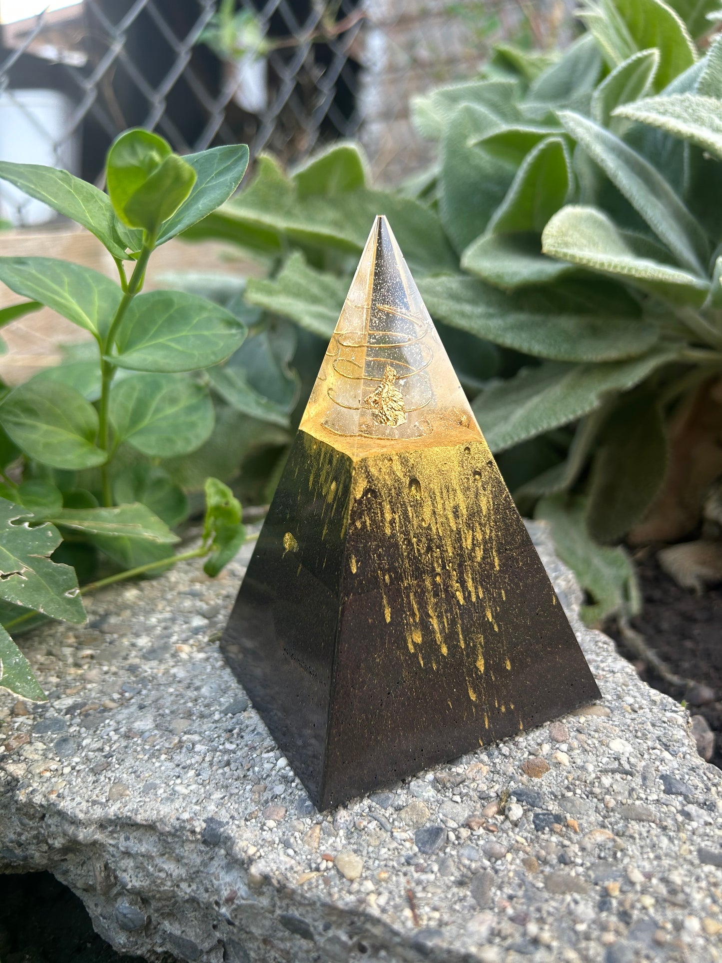 Mini Nubian-Gold