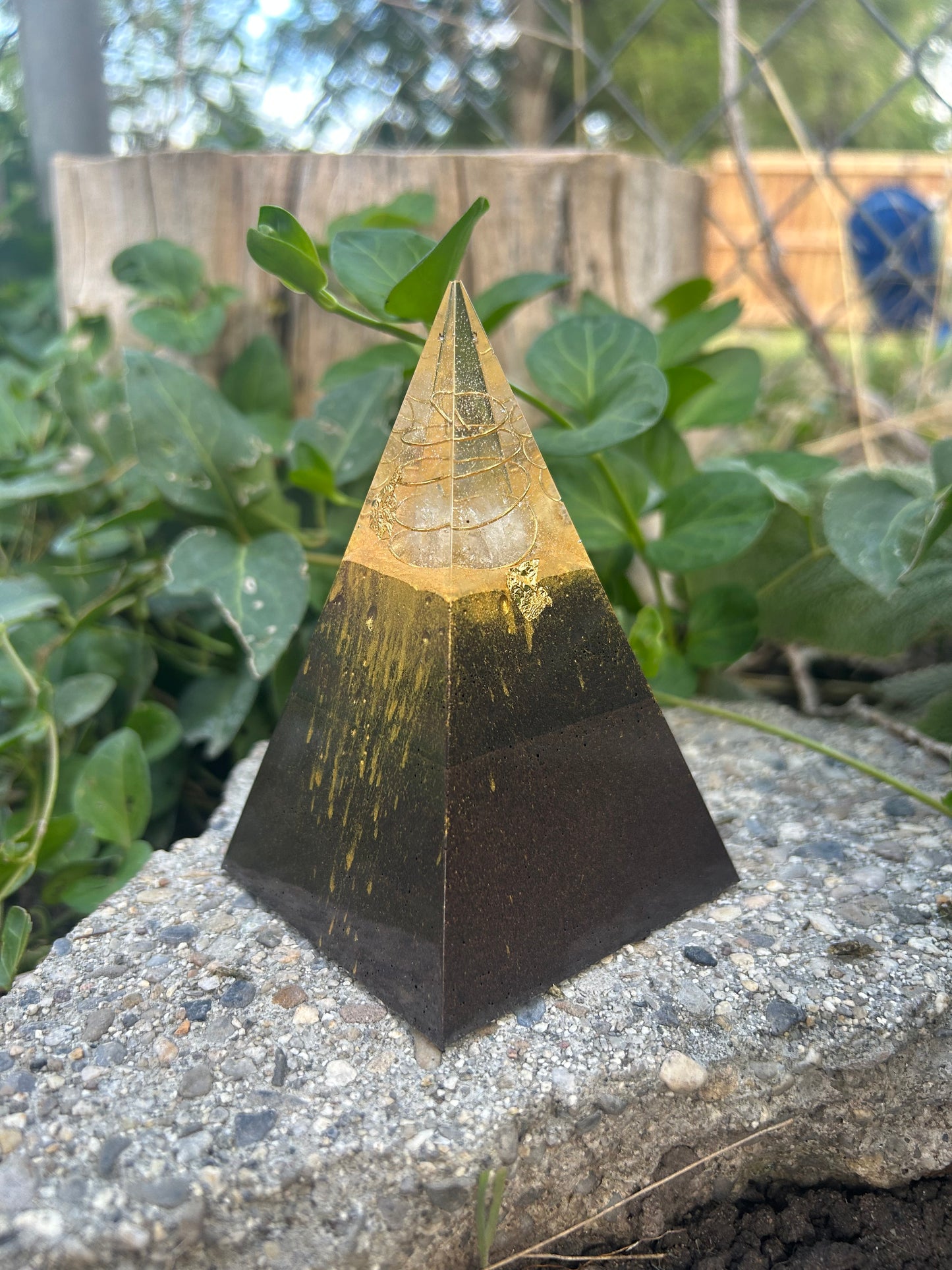 Mini Nubian-Gold