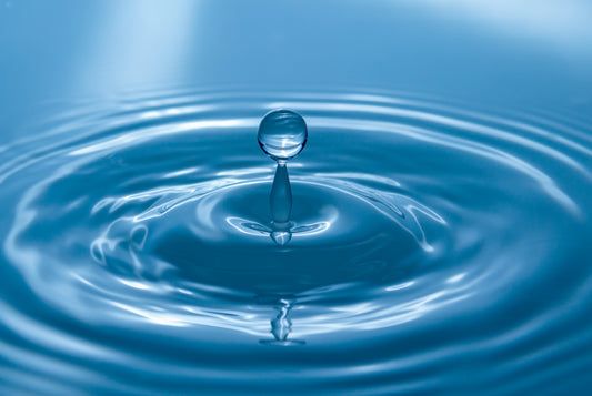 Emoto's Astonishing Work: How Water Reveals Its Secrets